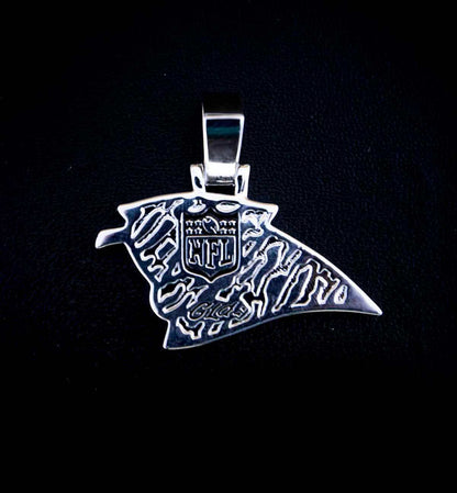 Carolina Panthers Official NFL Pendant